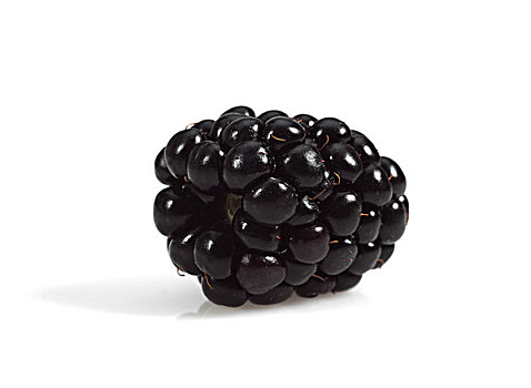 黑莓,水果,白色背景
