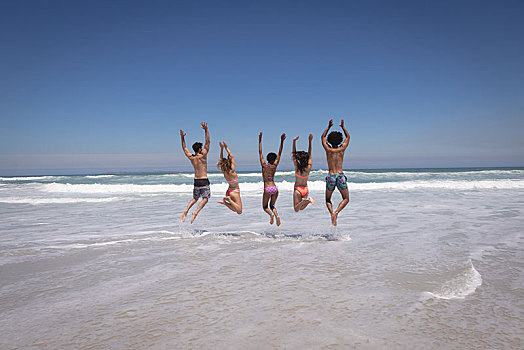 高兴,群体,朋友,跳跃,一起,海滩,阳光