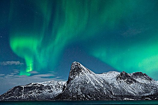 挪威,岛屿,极光,北部,北极光
