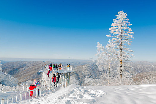 雪谷风光