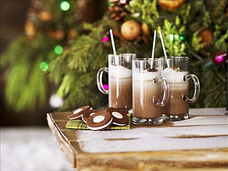 爱尔兰,热巧克力,饼干,花园桌,正面,圣诞树
