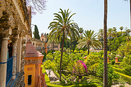 花园,棕榈树,城堡,皇宫,塞维利亚,西班牙,欧洲