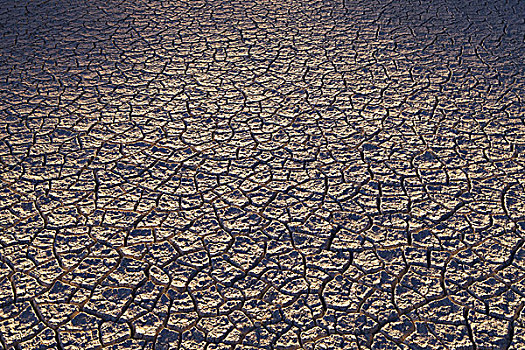 干燥,缝隙,荒芜,表面,黑岩沙漠,内华达,美国