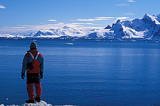 南极,远足,天堂湾,岩石,山顶,南极半岛