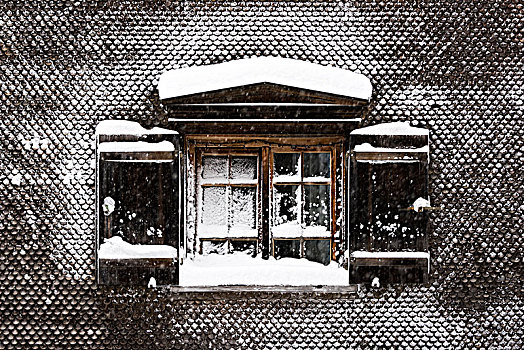 积雪,窗户,老,农舍,布雷根茨,树林,奥地利,欧洲
