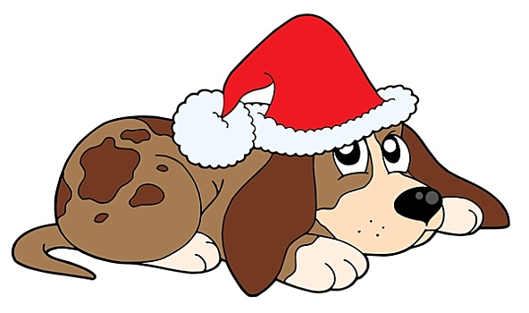 可爱,狗,圣诞节,帽