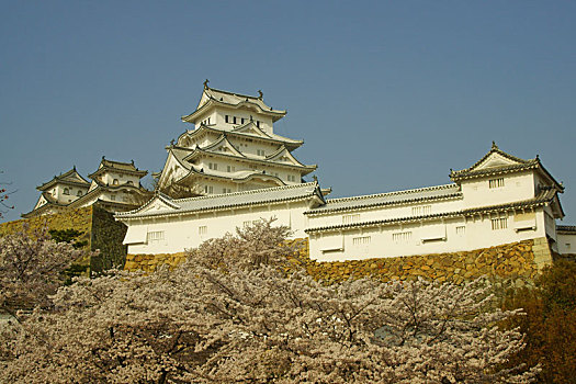 姬路城堡,春天,兵库,日本