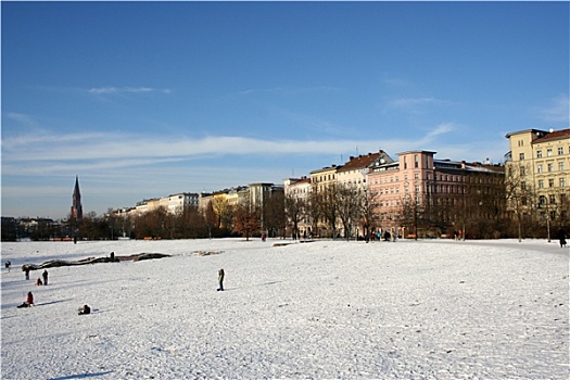 公园,冬天,柏林