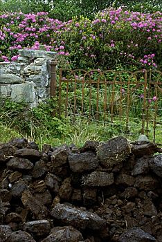 堆积,石头,正面,栅栏,阿基尔岛,梅奥县,爱尔兰