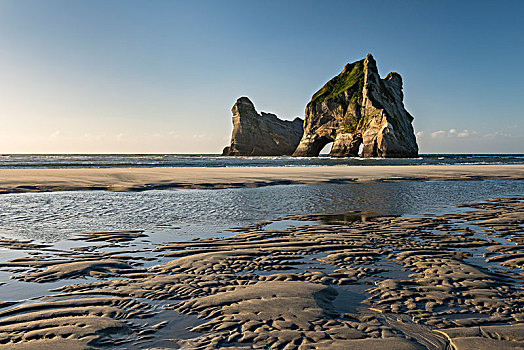 石头,岛屿,海滩,金色,湾,南部地区,新西兰,大洋洲