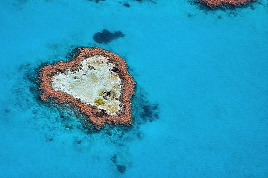 航拍,心形,礁石,大堡礁,昆士兰,澳大利亚