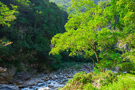 台湾花莲太鲁阁风景区,砂卡礑溪的山谷溪流