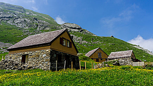 小屋,山地牧场,山脉,瑞士,欧洲