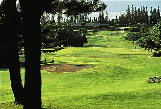 夏威夷,毛伊岛,卡帕鲁亚湾,高尔夫球杆,湾,场地