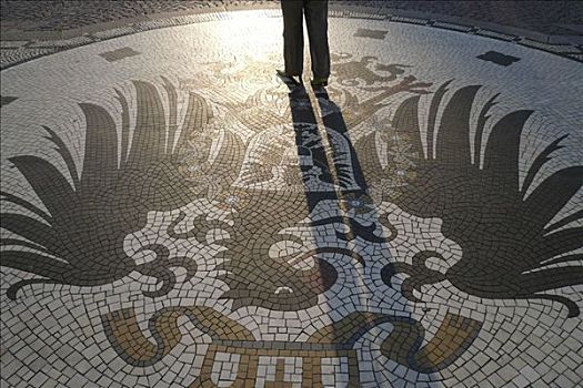 盾徽,地上,正面,市政厅,威斯巴登,黑森州,德国