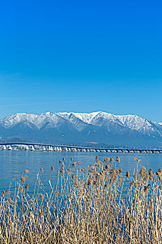 山,琵琶湖,桥