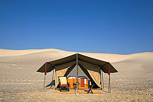 一个,睡觉,帐篷,海滩,背景,清晰,蓝天,沙丘