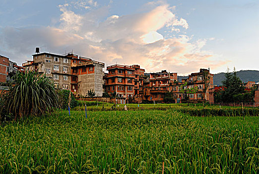 巴克塔普尔,加德满都山谷,尼泊尔,亚洲