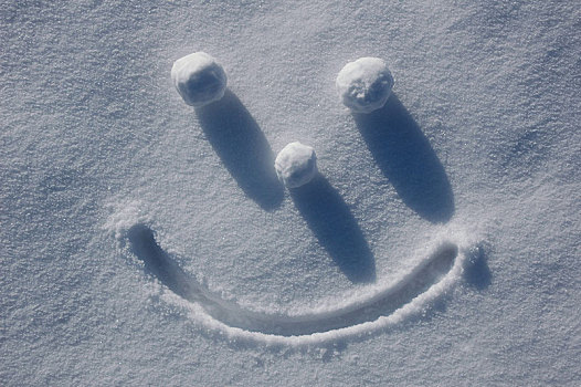 脸,雪球,德国,欧洲