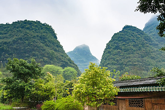 花园,乡村,喀斯特地貌,山,山谷