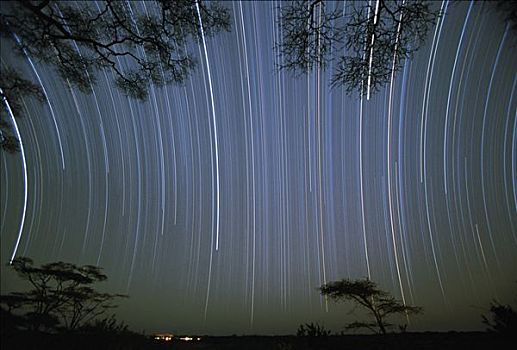 星迹,塞伦盖蒂国家公园,坦桑尼亚,东非