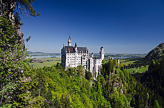 城堡,靠近,巴伐利亚阿尔卑斯山,上巴伐利亚,巴伐利亚,德国,欧洲