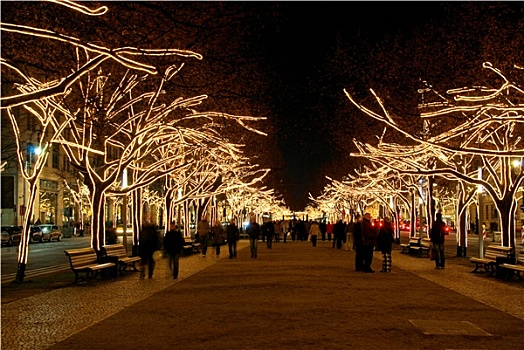 柏林,菩提树,树,圣诞节