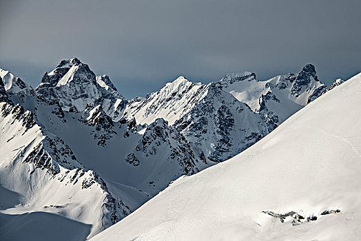顶峰,阿尔卑斯山,冬天,提洛尔,奥地利,欧洲