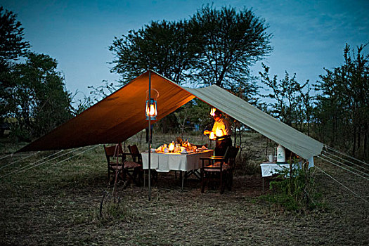 优雅,奢华,露营,餐桌,生活方式,塞伦盖蒂,坦桑尼亚,非洲