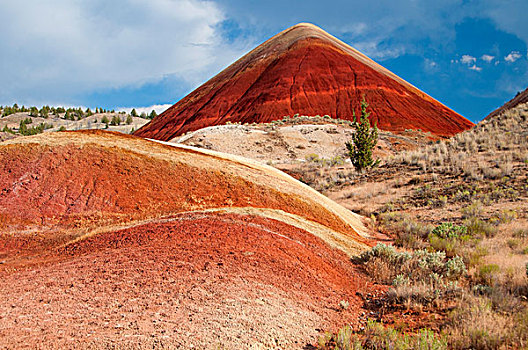红色,山,小路,约翰时代化石床国家纪念公园,俄勒冈,美国