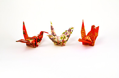 折纸鹤图片