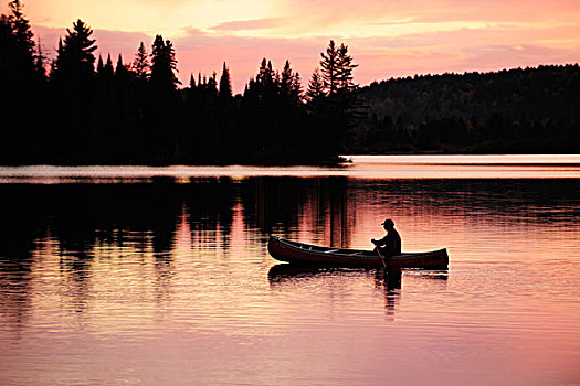 划船,独木舟,湖,阿尔冈金,公园,安大略省,加拿大,北美