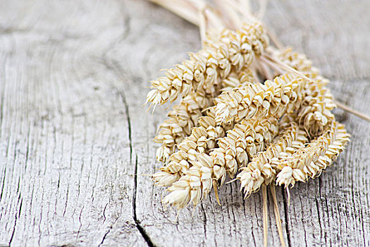 麦穗,木质背景