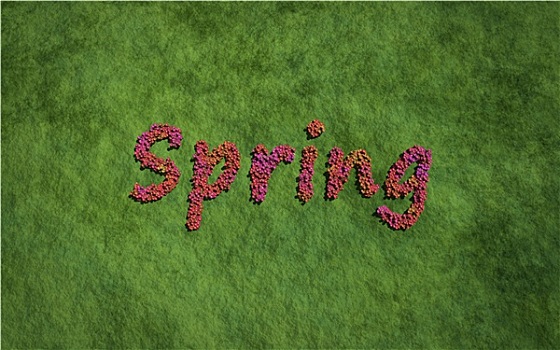 春天,文字,花,草,背景
