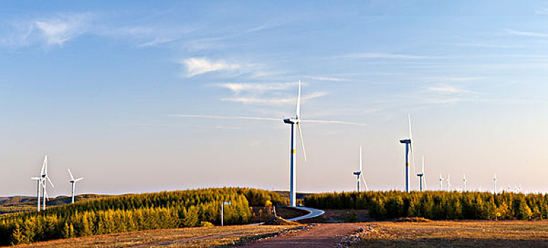 内蒙古,坝上,风力发电,风车