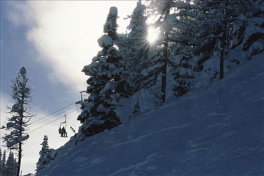人,滑雪缆车,艾伯塔省,加拿大