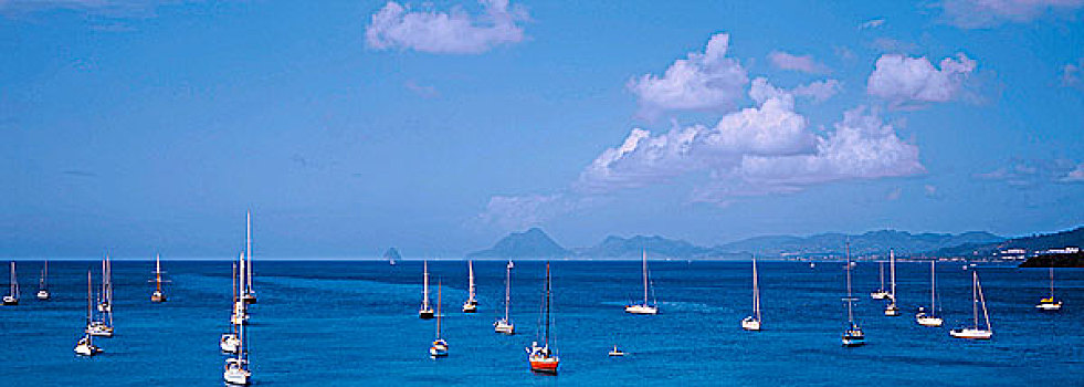 西印度群岛,马提尼克岛,游艇,蓝色背景,海洋