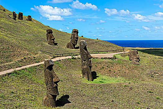 复活节岛石像,拉诺拉拉库采石场,拉帕努伊国家公园,世界遗产,复活节岛,智利,南美