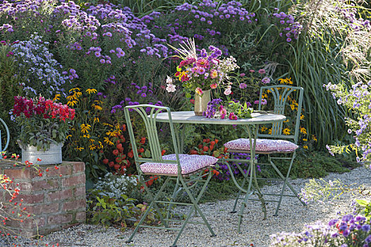 彩色,花园,花束,桌子,紫苑属,床