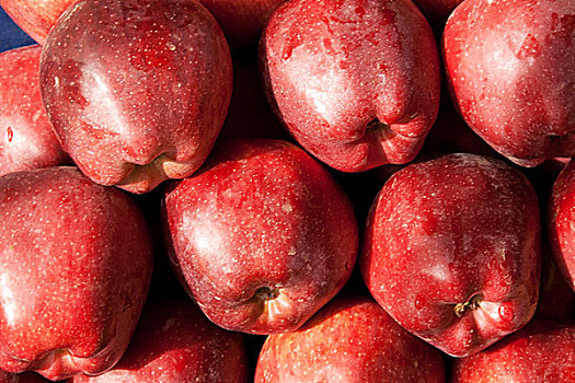背景,红色,成熟,苹果
