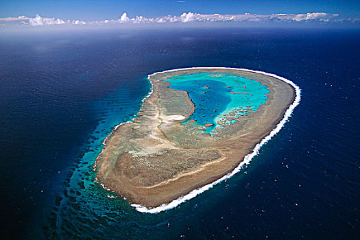 礁石,国家公园,大堡礁,昆士兰,澳大利亚