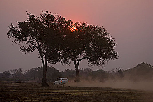 日落,全地形车,南卢安瓜国家公园,赞比亚,非洲