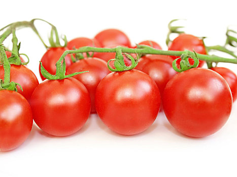 西红柿,隔绝,白色