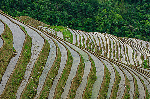 桂林梯田风光