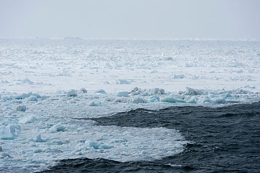 冰,模糊,地平线,峡湾,斯瓦尔巴特群岛,挪威
