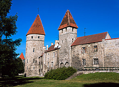 城堡区,城堡,要塞,墙壁,大炮,塔,老城,塔林,爱沙尼亚