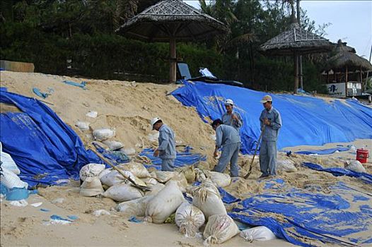 保护措施,海滩,腐蚀,越南