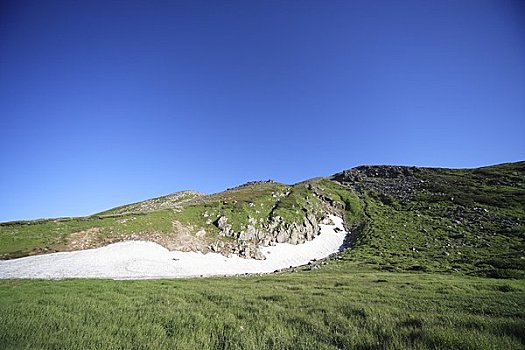 草地,蓝天