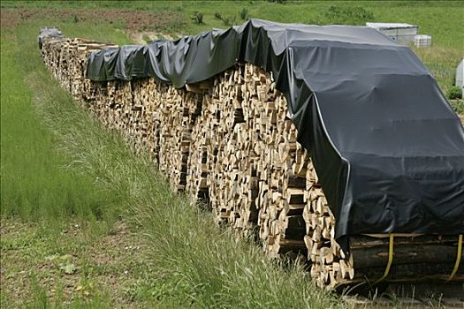 木堆,一堆,木头,德国