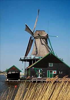 荷兰,房子,风车,杂草